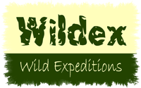 Wildex : Adventure tour and travel operator india